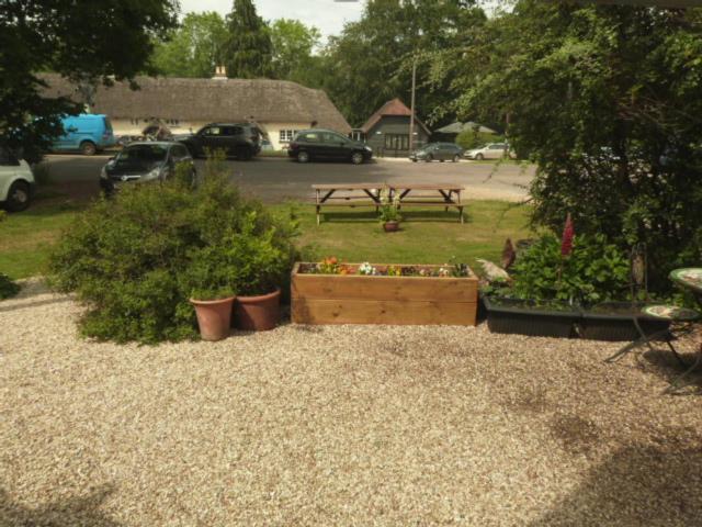 Twin Oaks Guest House Cadnam Exteriör bild
